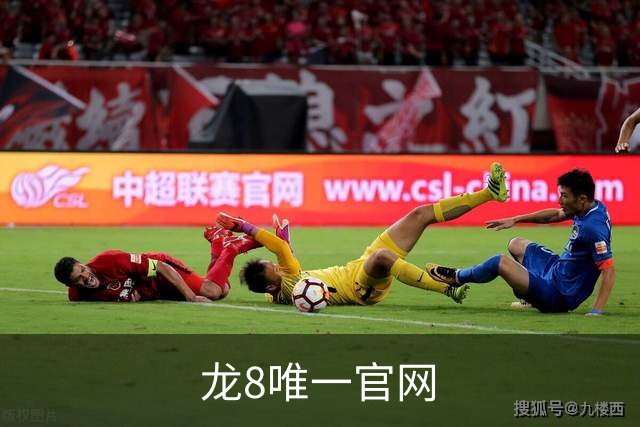 龙8唯一官网公司简介